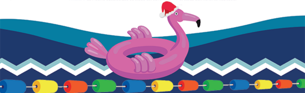 visuel un flamand rose avec un bonnet de noel