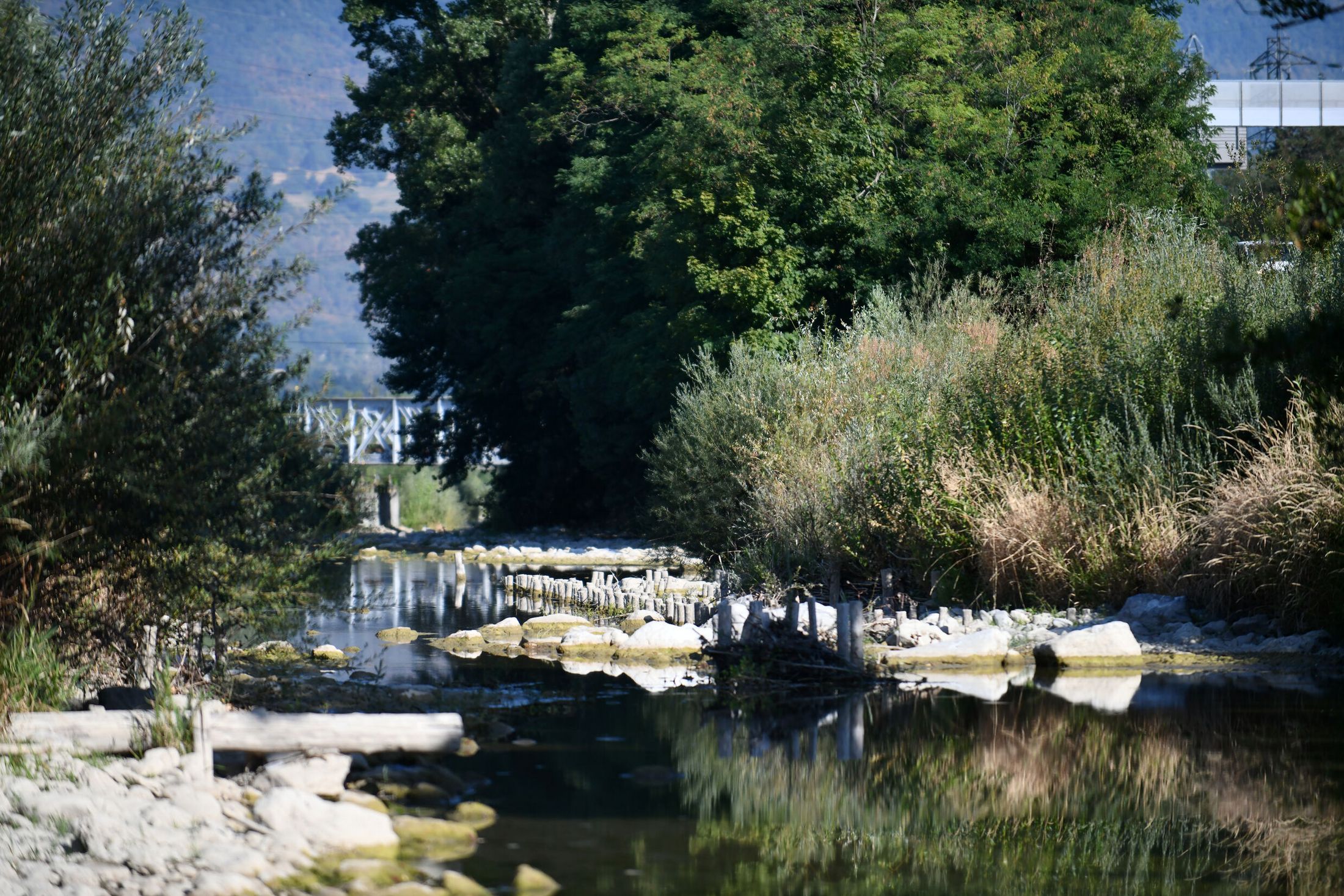 Vu d'une portion du cours d'eau de la Leysse 