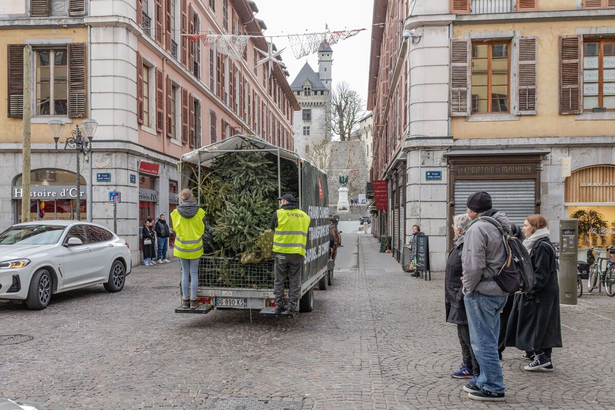 Grand Chambéry collecte vos sapins en calèche dans le centre ville