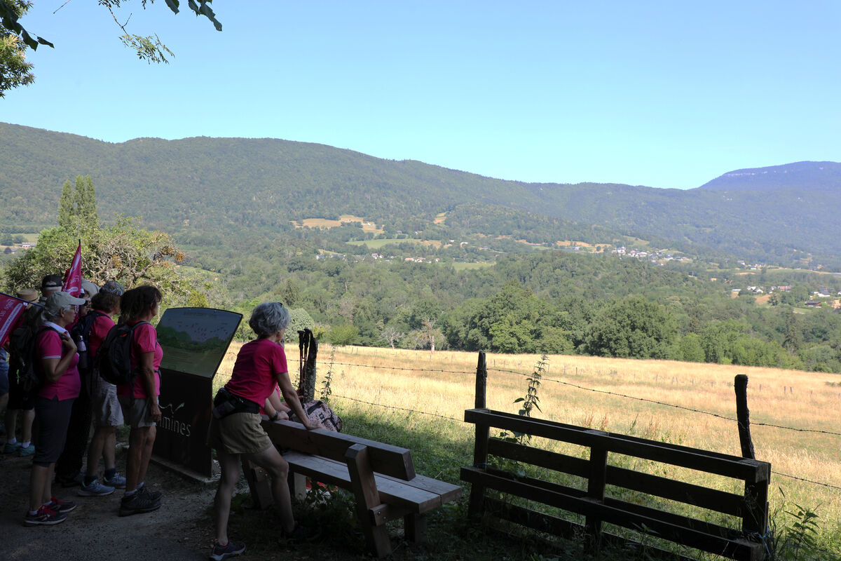 Point de vue durant la balade découverte santé de Vimines 