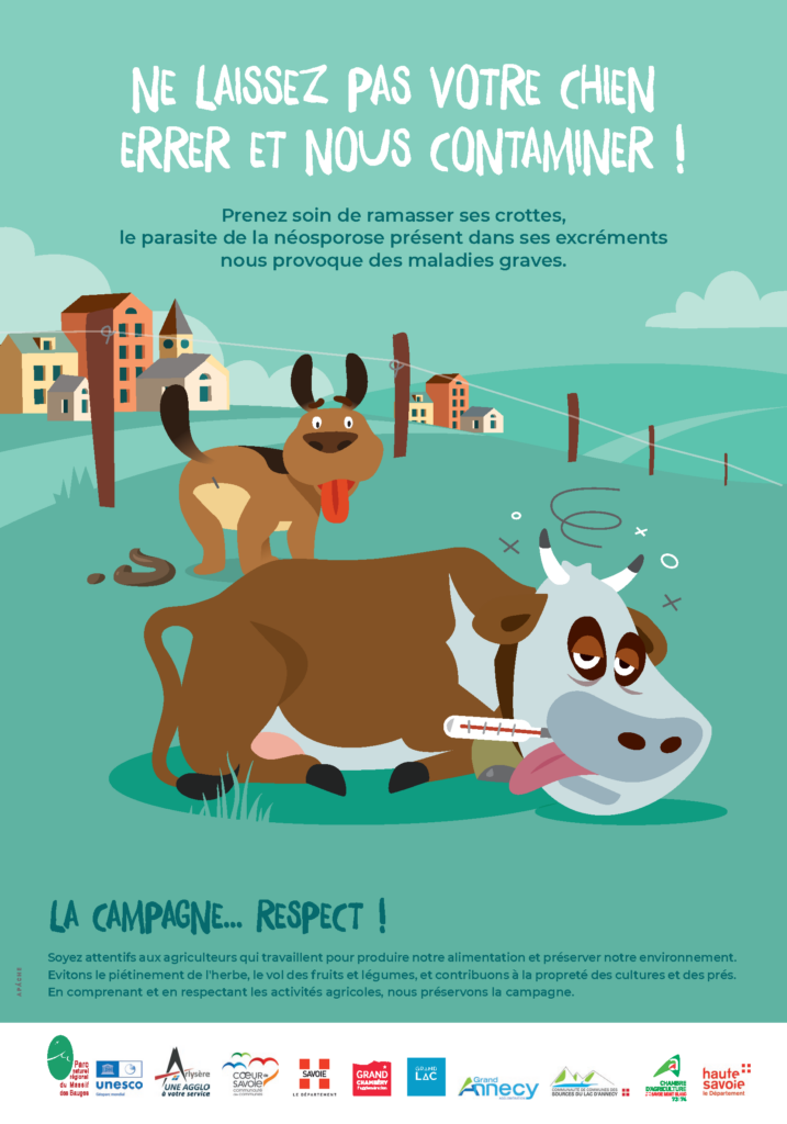 Agrandir l'image 3