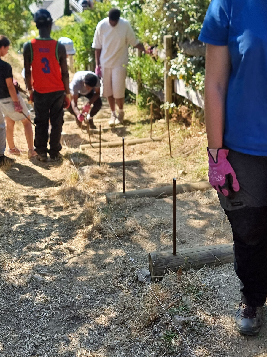 jeunes des chantiers eco-citoyens en train de faire des travaux d'élagage et autres