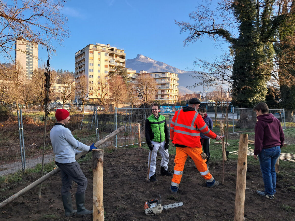 Des personnes plantent des arbres