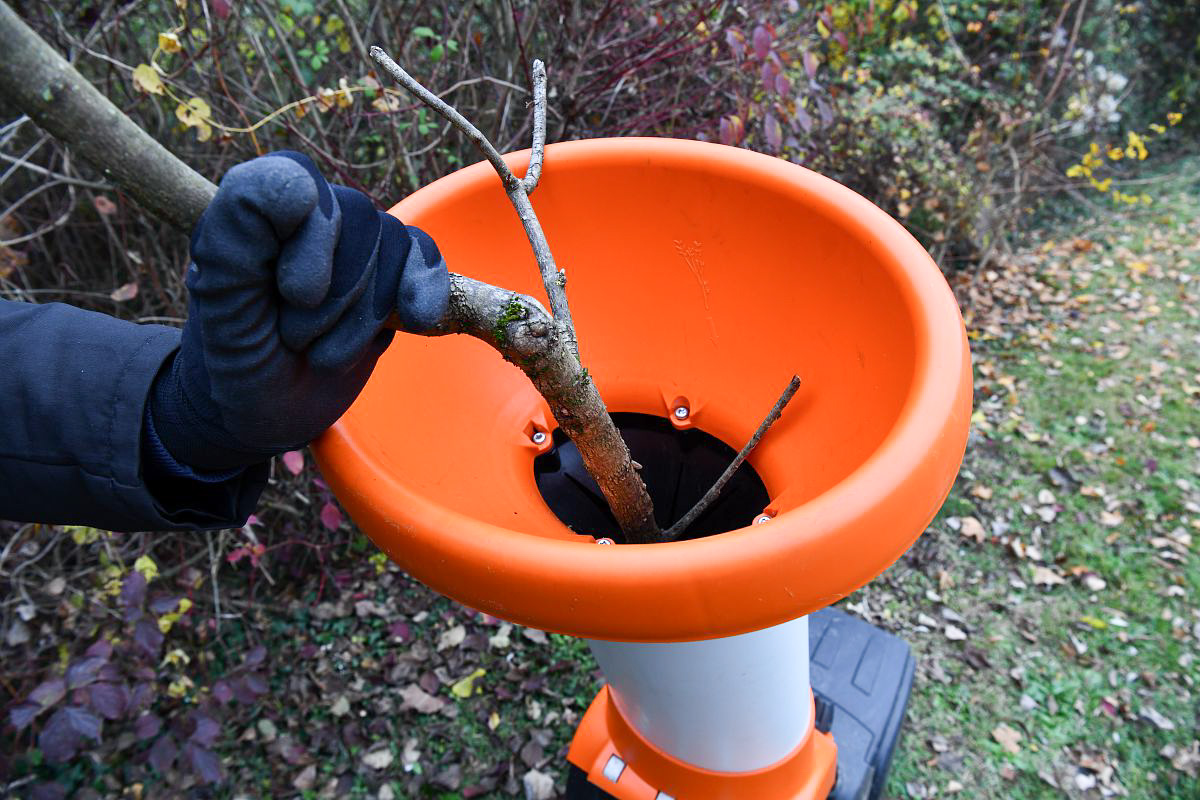 Une branche passe à travers un broyeur à végétaux 