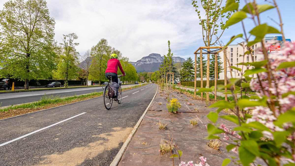 un vélo sur une piste cyclable