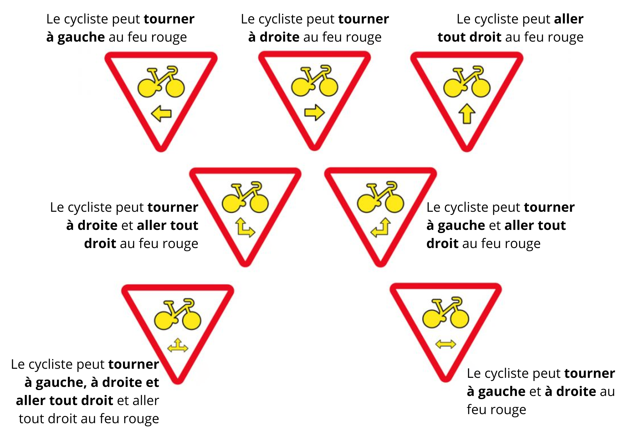 Les déclinaisons du panneau M12