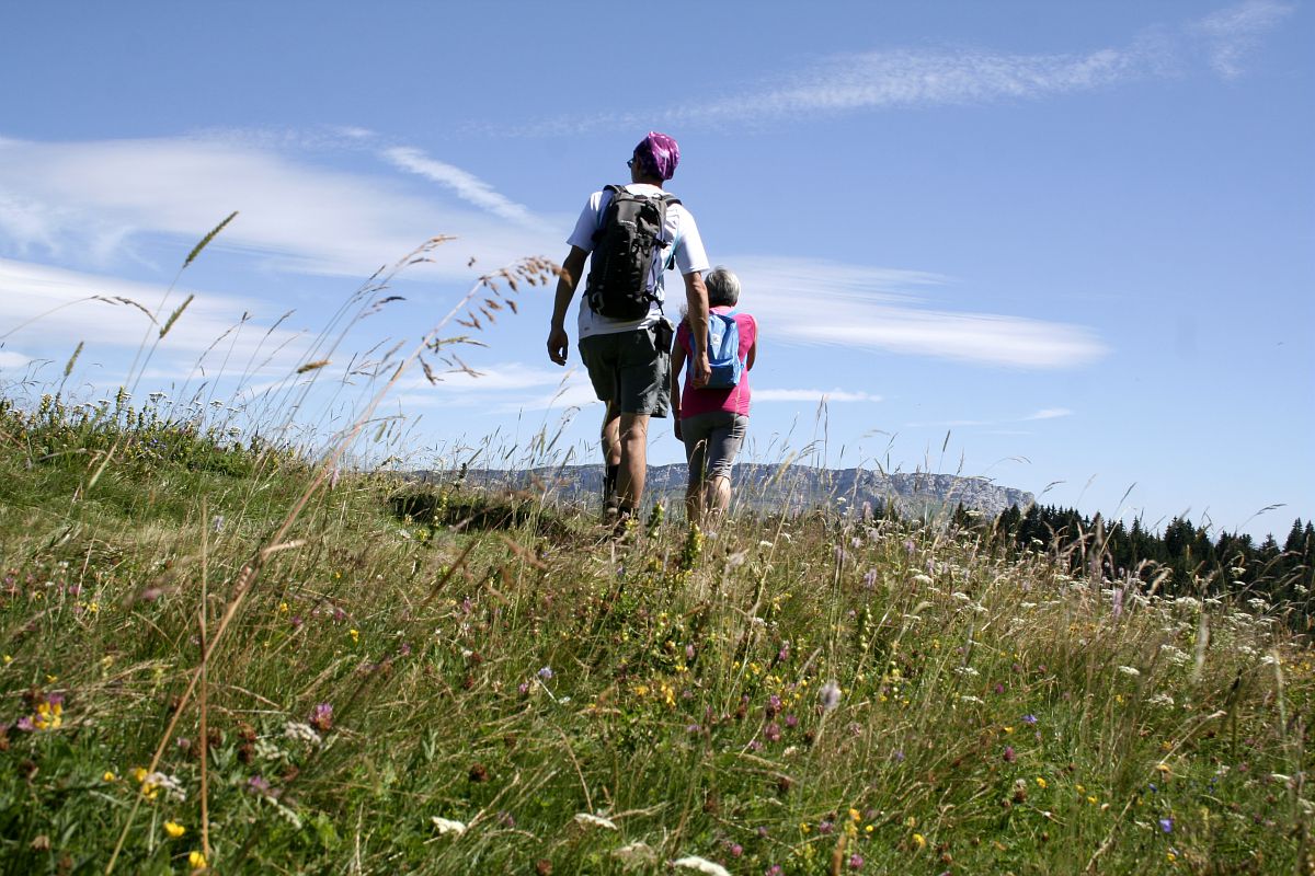 Des randonneurs en montagne l'été