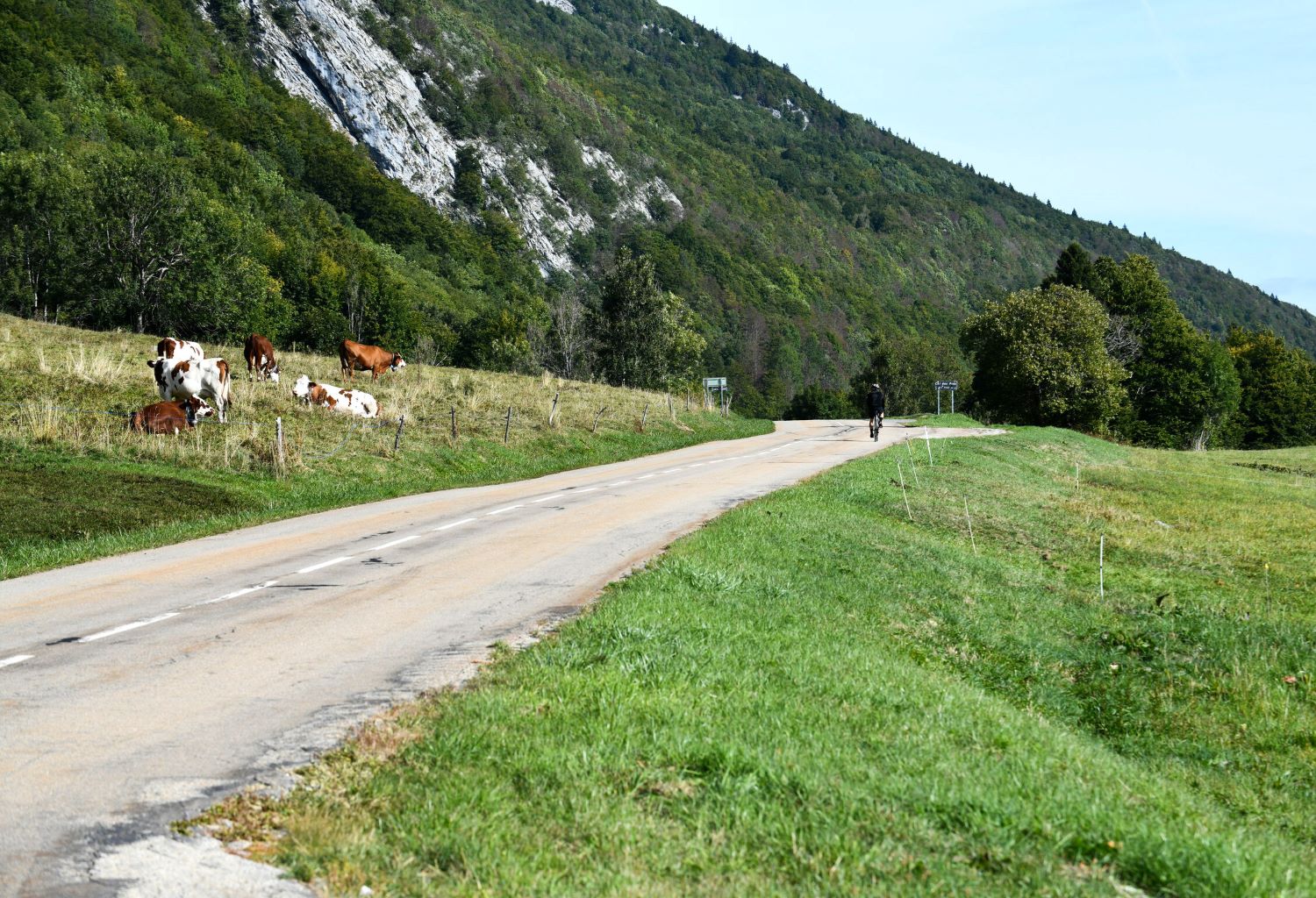 Un cycliste sillonne une route de montagne