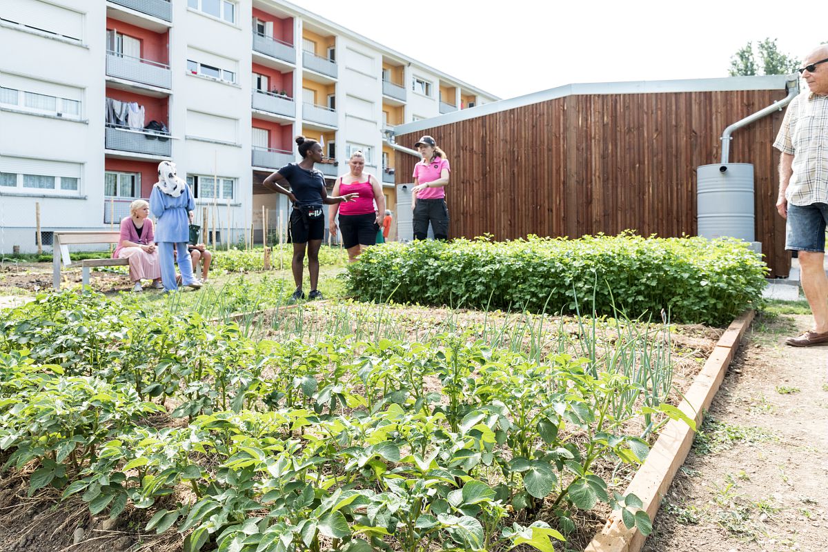 Des personnes discutent dans un potager collectif