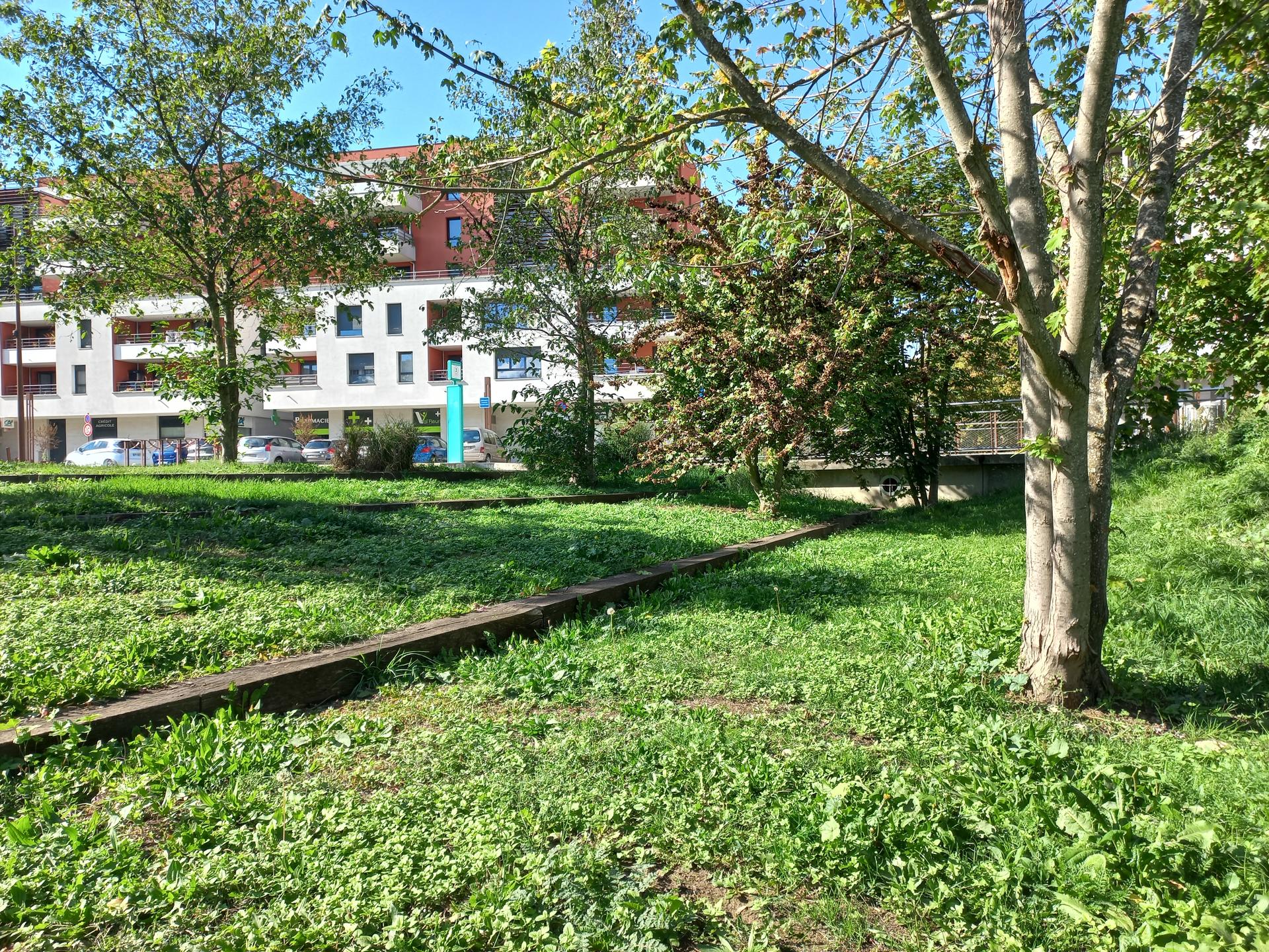 Jardin devant un immeuble d'habitation