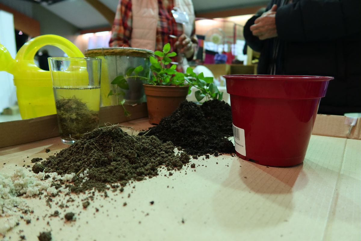 Atelier de jardinage zéro déchet lors du Dimanche De Récup'.