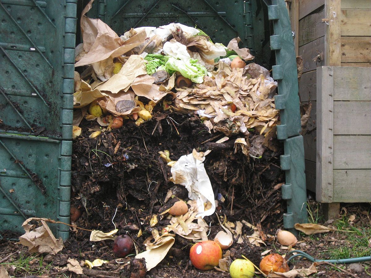 Composteur en plastique ouvert. On distingue en bas le compost déjà mûr, prêt à amender le sol, et au dessus les déchets qui doivent encore se transformer.