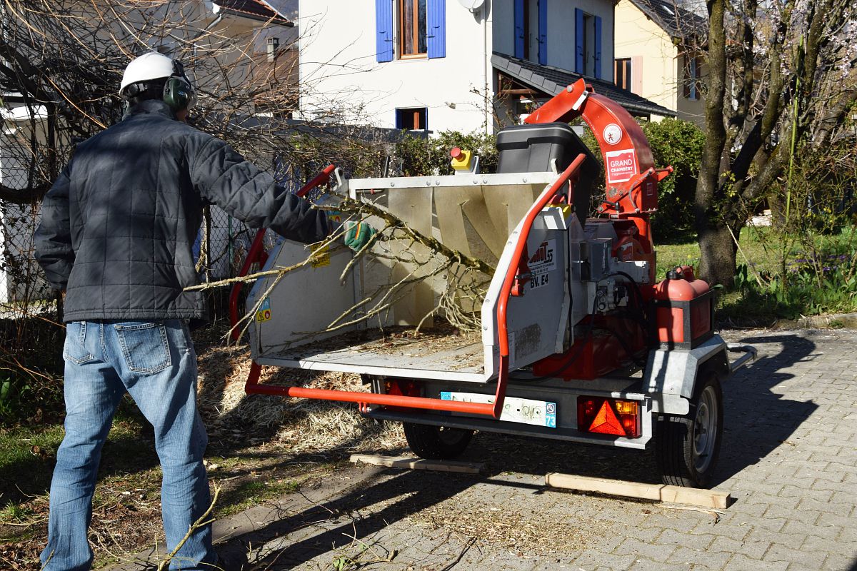 Une personne pousse ses branches dans un broyeur de végétaux.